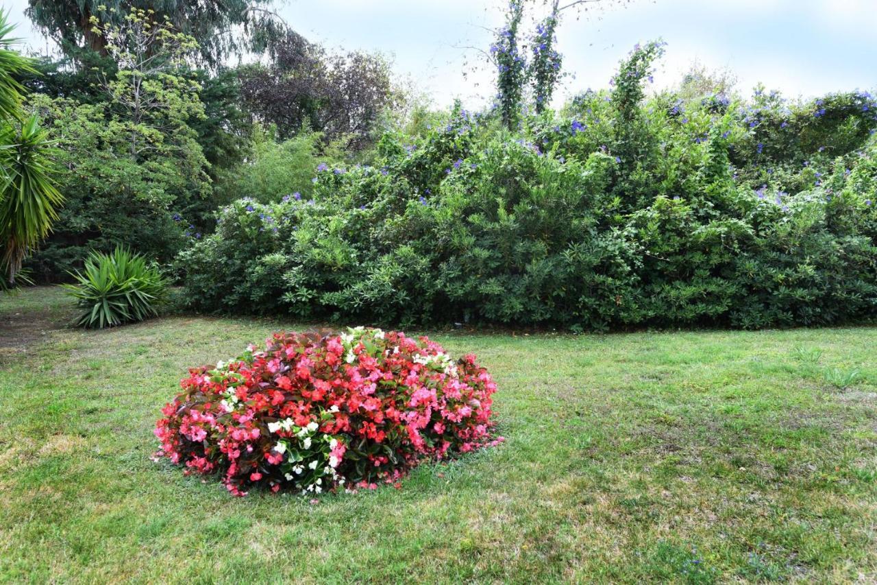 Apartament Matheo Cannes Zewnętrze zdjęcie